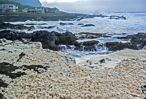 Pacific Art Print featuring the photograph Pacific Gift by Dale Stillman