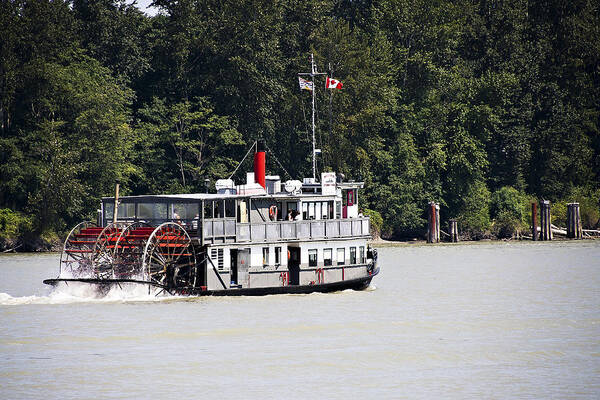 Paddlewheeler Art Print featuring the photograph Paddle Wheeler on the Fraser by Marion McCristall