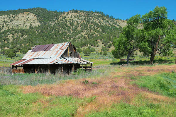 Barn Art Print featuring the photograph Pagosa Junction Barn by Jerry McElroy