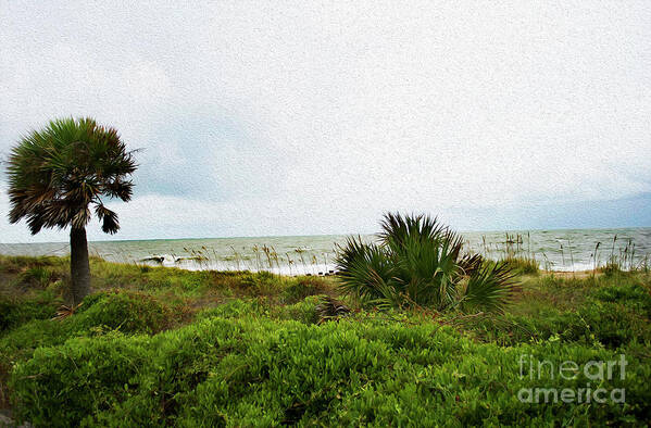 Intense Art Print featuring the photograph Painted Edisto Beach by Skip Willits