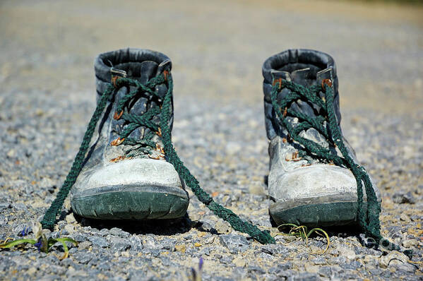 Casual Clothing Art Print featuring the photograph Pair of used work boots on road by Sami Sarkis