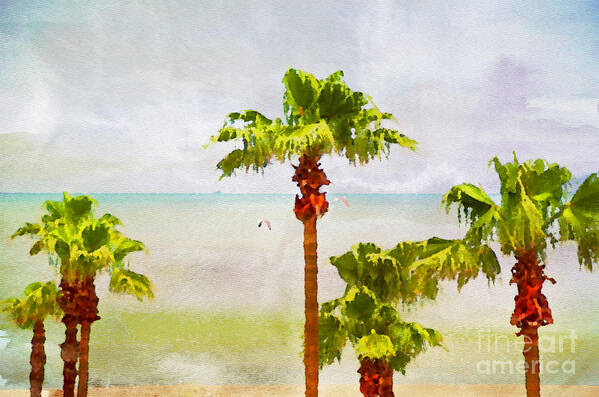 Beach Art Print featuring the photograph Palm Breeze by Ken Williams