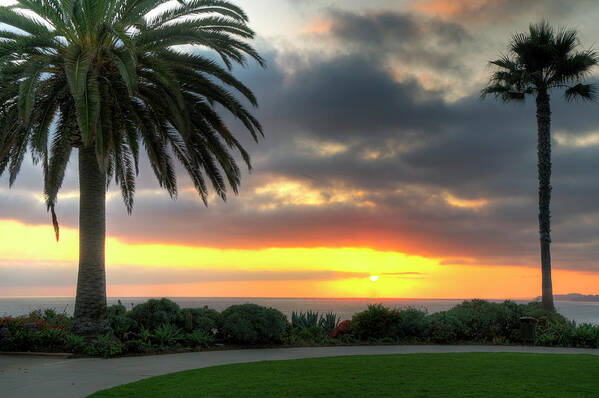 Palm Tree Art Print featuring the photograph Palm Tree Sunset by Eddie Yerkish