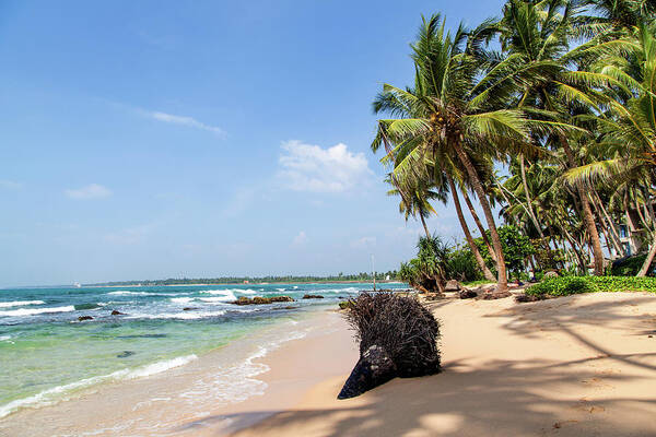 Asia Art Print featuring the photograph Paradise beach in Sri Lanka by Gina Koch