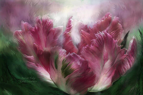 Parrot Tulip Art Print featuring the mixed media Parrot Tulip by Carol Cavalaris
