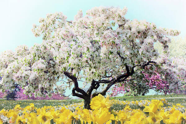 Crabtree Art Print featuring the photograph Pastel Park by Jessica Jenney