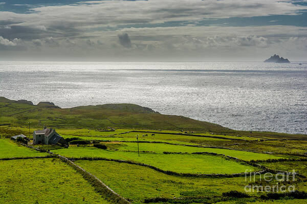 Ireland Art Print featuring the photograph Pastures at the Coast of Ireland by Andreas Berthold