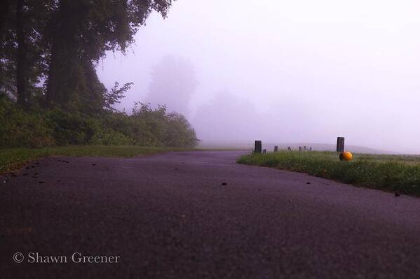 Landscape Art Print featuring the photograph Path in the Mist by Shawn M Greener
