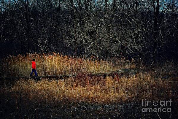  Illinois Art Print featuring the photograph Pathway by Frank J Casella