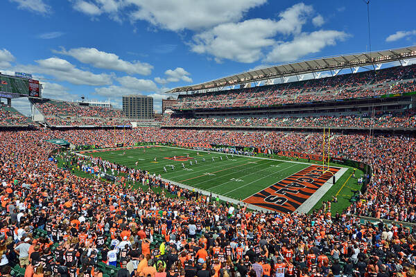 Mark Whitt Art Print featuring the photograph Paul Brown Stadium - Cincinnati Bengals by Mark Whitt