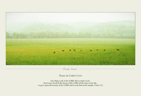 Peace Art Print featuring the photograph Peace In Cades Cove by Randall Evans