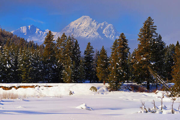 Tetons Art Print featuring the photograph Peaking Through by Greg Norrell