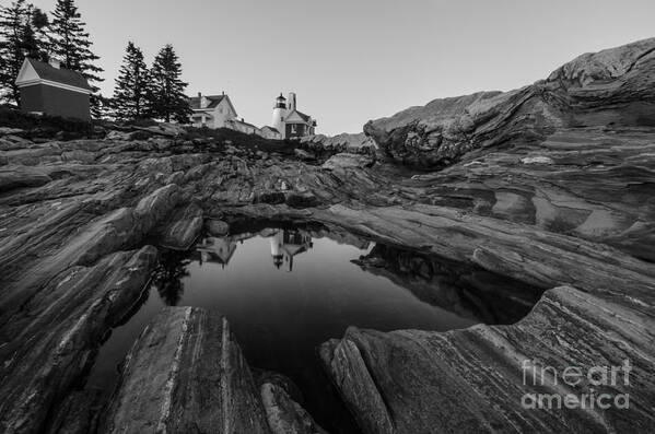 Pemaquid Point Lighthouse Art Print featuring the photograph Pemaquid Reflecting by Paul Noble
