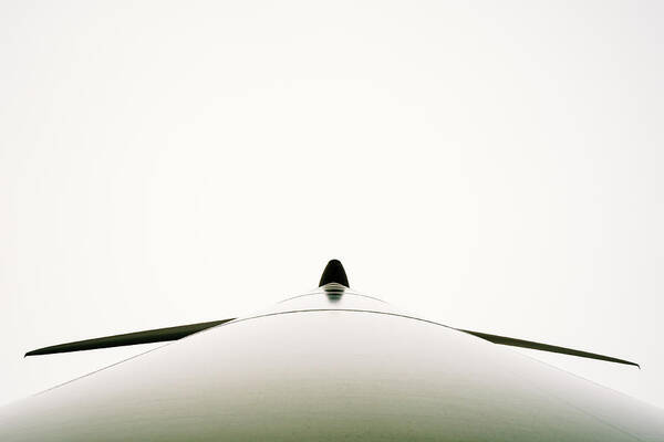 Architecture Art Print featuring the photograph Penguin by Markus Bartel