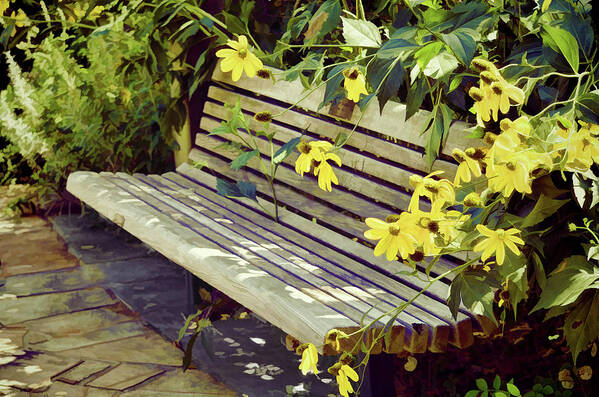 Perfect Garden Bench With Cone Flowers Art Print featuring the photograph Perfect Garden Bench With Cone Flowers by Sandi OReilly