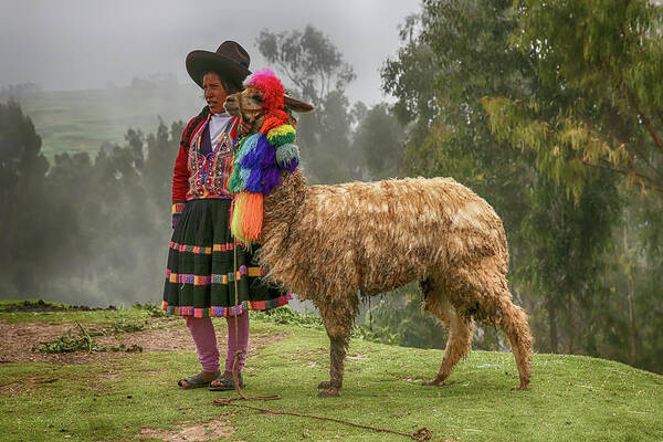 Peru Art Print featuring the photograph Peruvian Llama by John Haldane