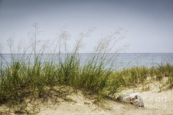  Michigan Art Print featuring the photograph Petoskey Park Dunes by Timothy Hacker