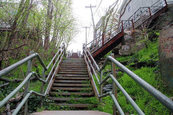 Philadelphia Art Print featuring the photograph Philadelphia - Roxborough Avenue Steps by Bill Cannon