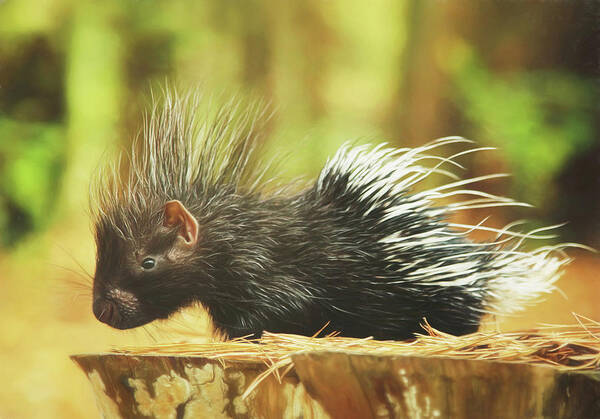 Porcupine Art Print featuring the photograph Picture Perfect Porcupine Painting by Carrie Ann Grippo-Pike