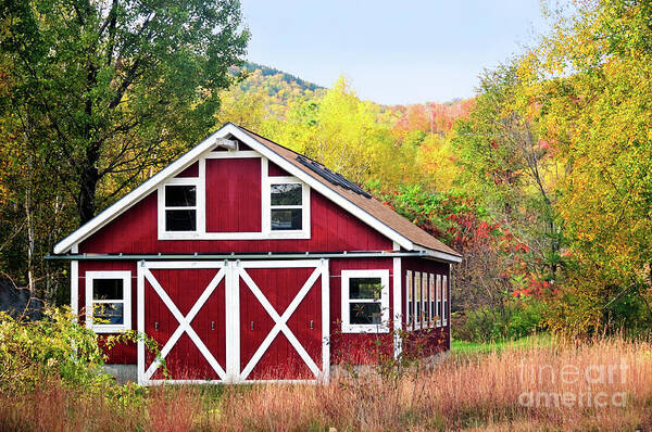 Barn Art Print featuring the photograph Picturesque by Betty LaRue