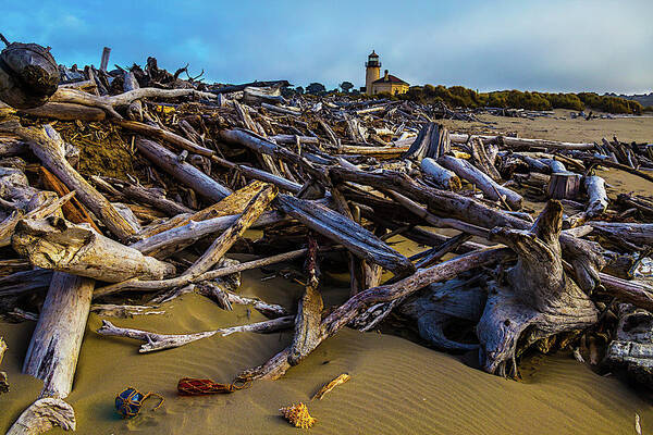 Romantic Coquille River Lighthouse Art Print featuring the photograph Piles Of Driftwood by Garry Gay