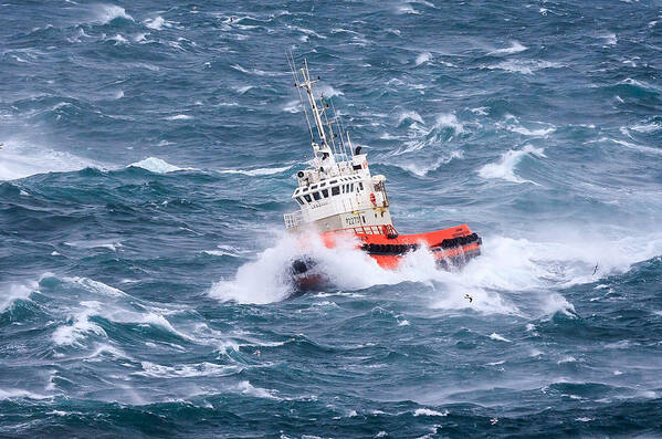 Tugboat Art Print featuring the photograph Pilot Boat by Ingi T. Bjornsson