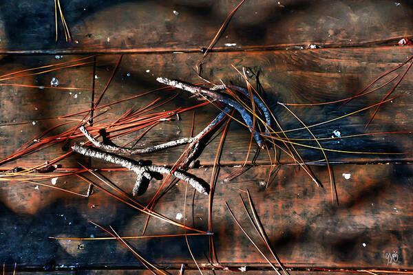 Pine Needles Art Print featuring the photograph Pine Needles and Sticks by Gina O'Brien