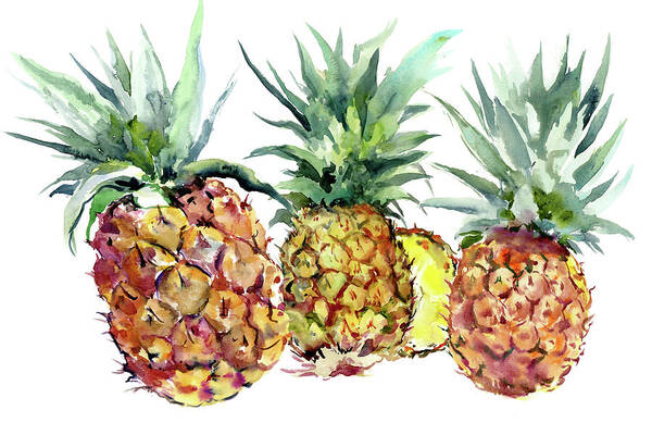 Pineapple Art Print featuring the painting Pineapples by Suren Nersisyan