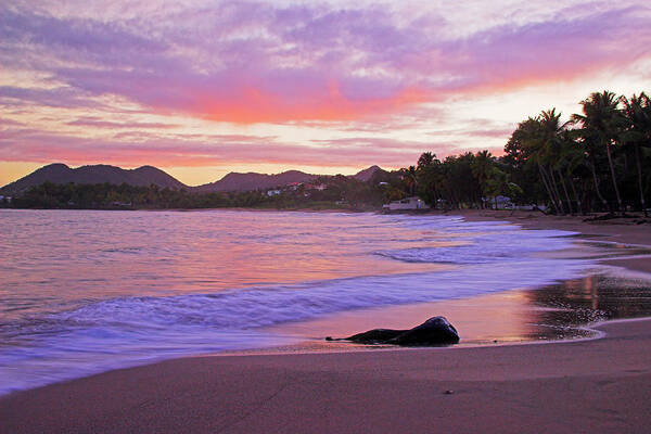 Sunrise Art Print featuring the photograph Pink Sunrise- St Lucia by Chester Williams