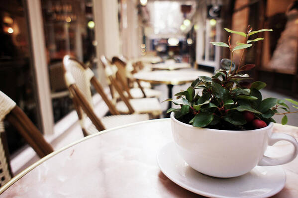 Cardiff Art Print featuring the photograph Plant in a Cup in a Cafe by Trance Blackman