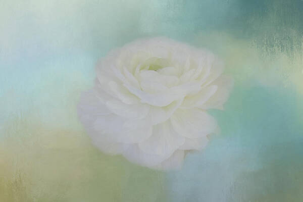 Rose Art Print featuring the photograph Poetry Dreams by Kim Hojnacki