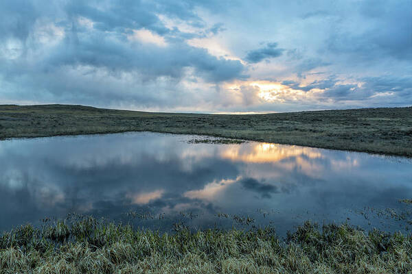 Pond Art Print featuring the photograph Pond On The Range by Denise Bush