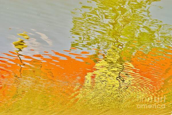 Reflections Art Print featuring the photograph Pond Reflection by Merle Grenz