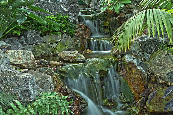 Muttart Conservatory Art Print featuring the photograph Pond@Muttart by Stan Kwong