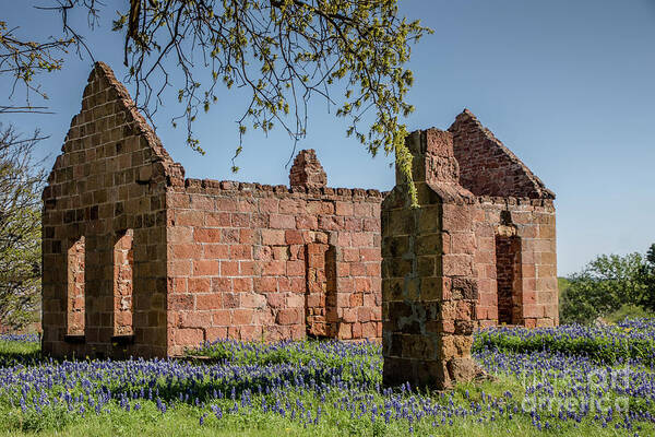 Places Art Print featuring the photograph Pontotoc Ruins by Teresa Wilson