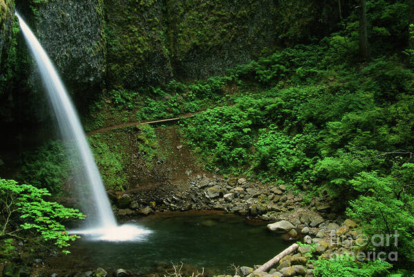 Images Art Print featuring the photograph Ponytail Falls-h by Rick Bures