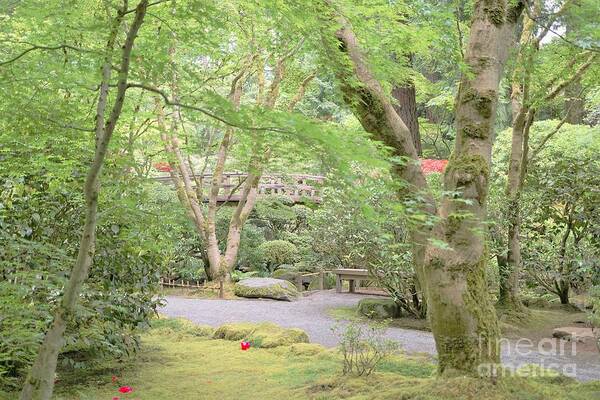 Portland Oregon Japanese Gardens Art Print featuring the photograph Portland Oregon Japanese Gardens 1 by Merle Grenz