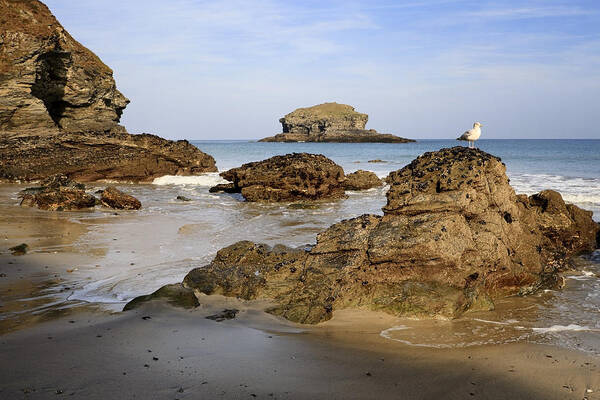 Cornwall Art Print featuring the photograph Portreath by Shirley Mitchell