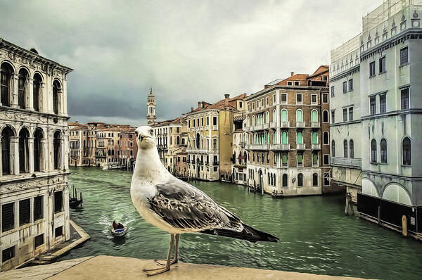 Adriatic Art Print featuring the photograph Posing for Tourists by Maria Coulson