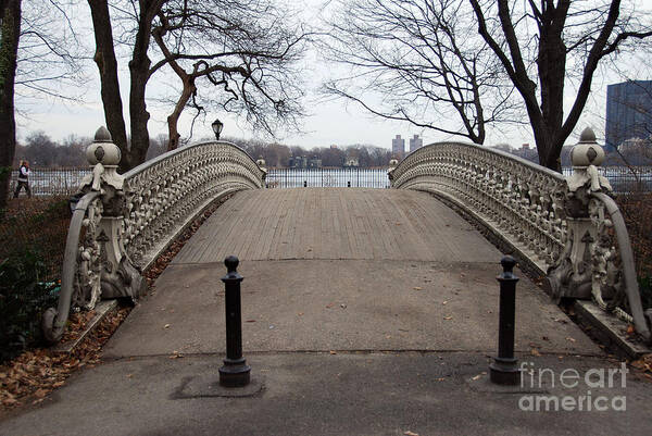 Power Walking Art Print featuring the photograph Power Walking In Central Park by Joe Scoppa