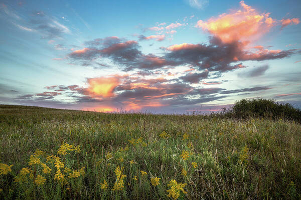 Oklahoma Art Print featuring the photograph Prairie Fire - Beautiful Sky Over Tallgrass Prairie in Oklahoma by Southern Plains Photography