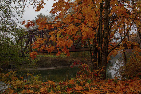 2017 Art Print featuring the photograph Pratt Truss Railroad Bridge Decked Out in Fall Colors by Bridget Calip