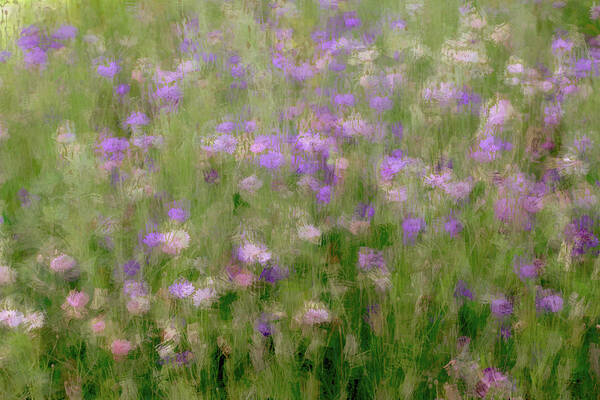 Paintings Of Meadows Art Print featuring the painting Precious Meadow by The Art Of Marilyn Ridoutt-Greene