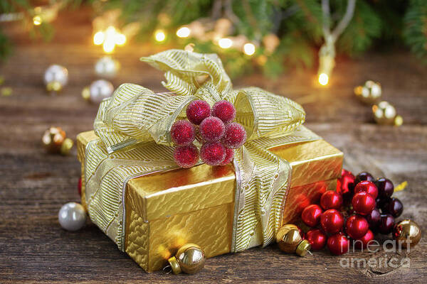 Christmas Art Print featuring the photograph Present for Christmas by Anastasy Yarmolovich