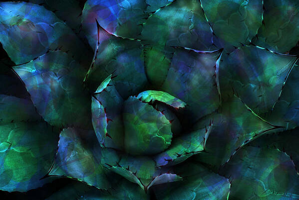 Blossom Art Print featuring the digital art Prickly Blossom by Carol Crisafi