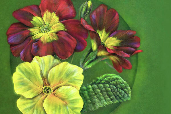 Primrose Art Print featuring the painting Primula by Sarah Trett