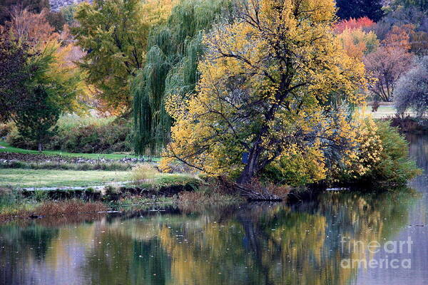 Fall Art Print featuring the photograph Prosser - Autumn Reflection with Geese by Carol Groenen