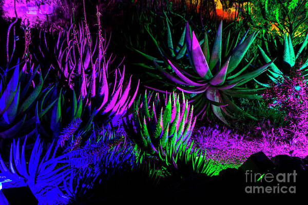 Arboretum Art Print featuring the photograph Psychedelia by Kathy McClure