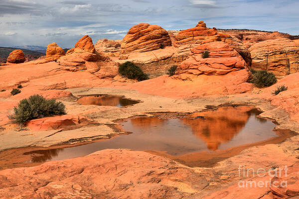 Coyote Buttes Art Print featuring the photograph Puddles In The Desert Landscape by Adam Jewell