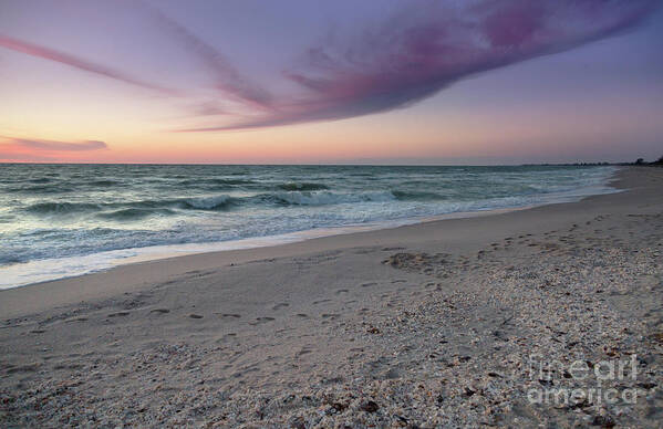 Florida Art Print featuring the photograph Purple Beach by Karin Pinkham